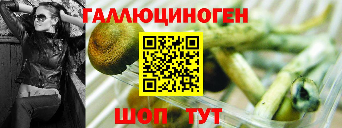 Псилоцибиновые грибы MAGIC MUSHROOMS  Псилоцибиновые грибы MAGIC MUSHROOMS  Вход с VPN  Туймазы 